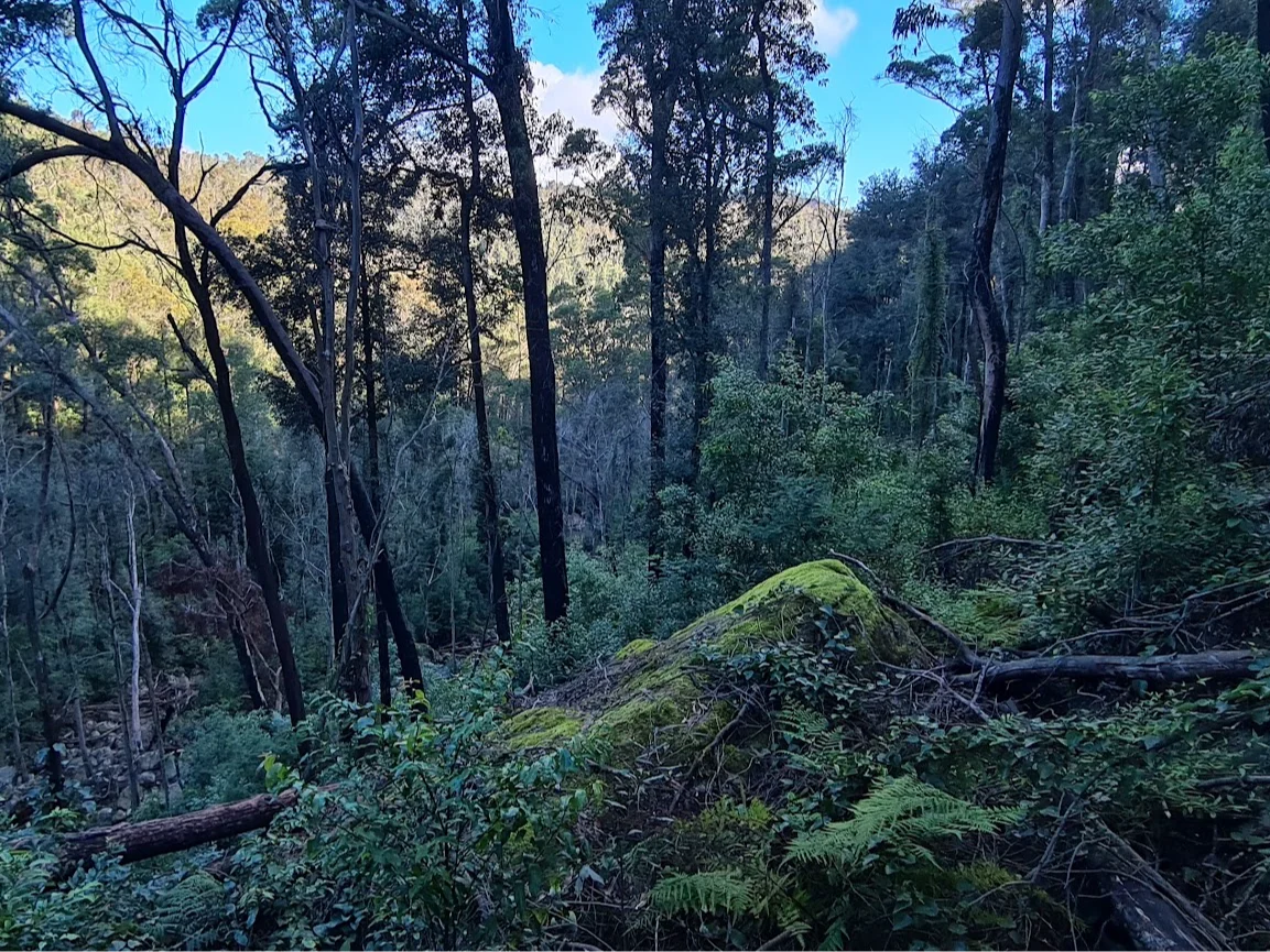 Additional image 23 of Illaroo NSW 2540