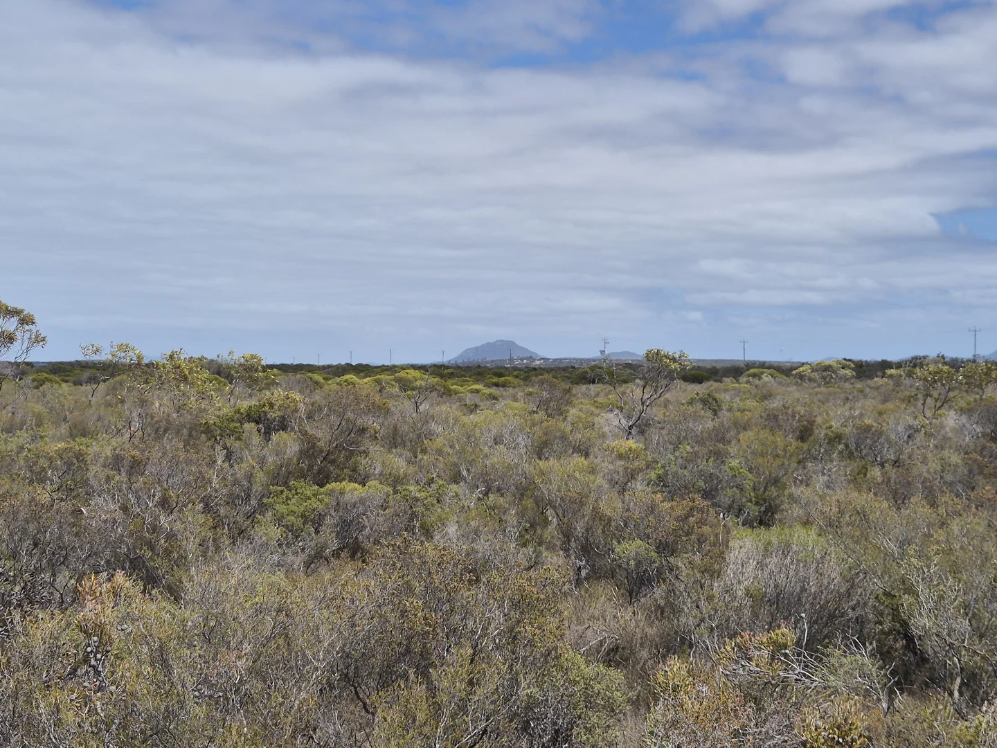 Additional image 19 of 344 Dotterel Drive, Hopetoun WA 6348