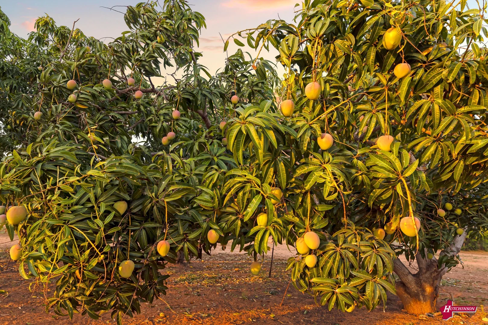 Additional image 28 of Lot 103 Waterbank, Waterbank WA 6725