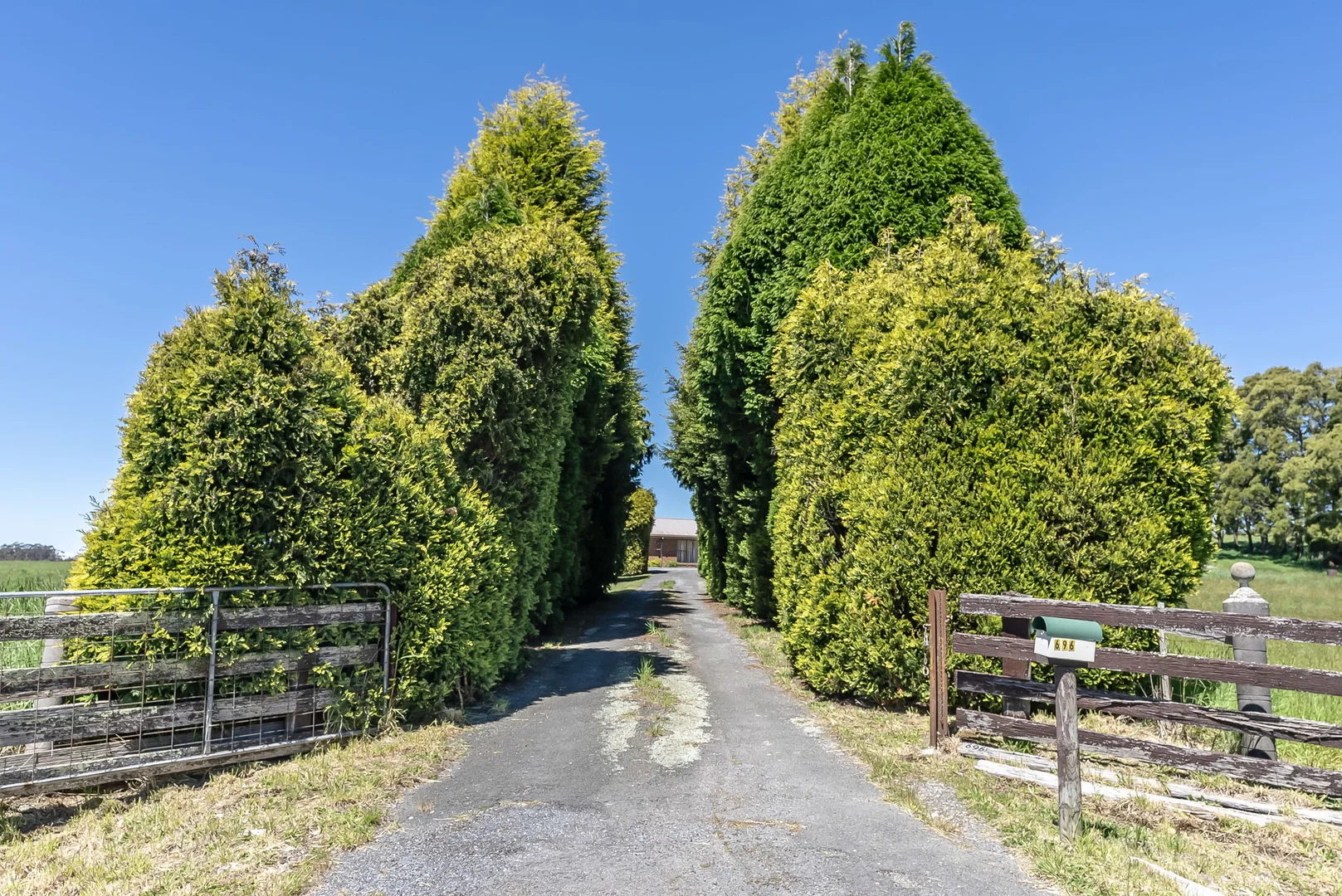 Additional image 4 of 696 Golconda Road, Lebrina TAS 7254