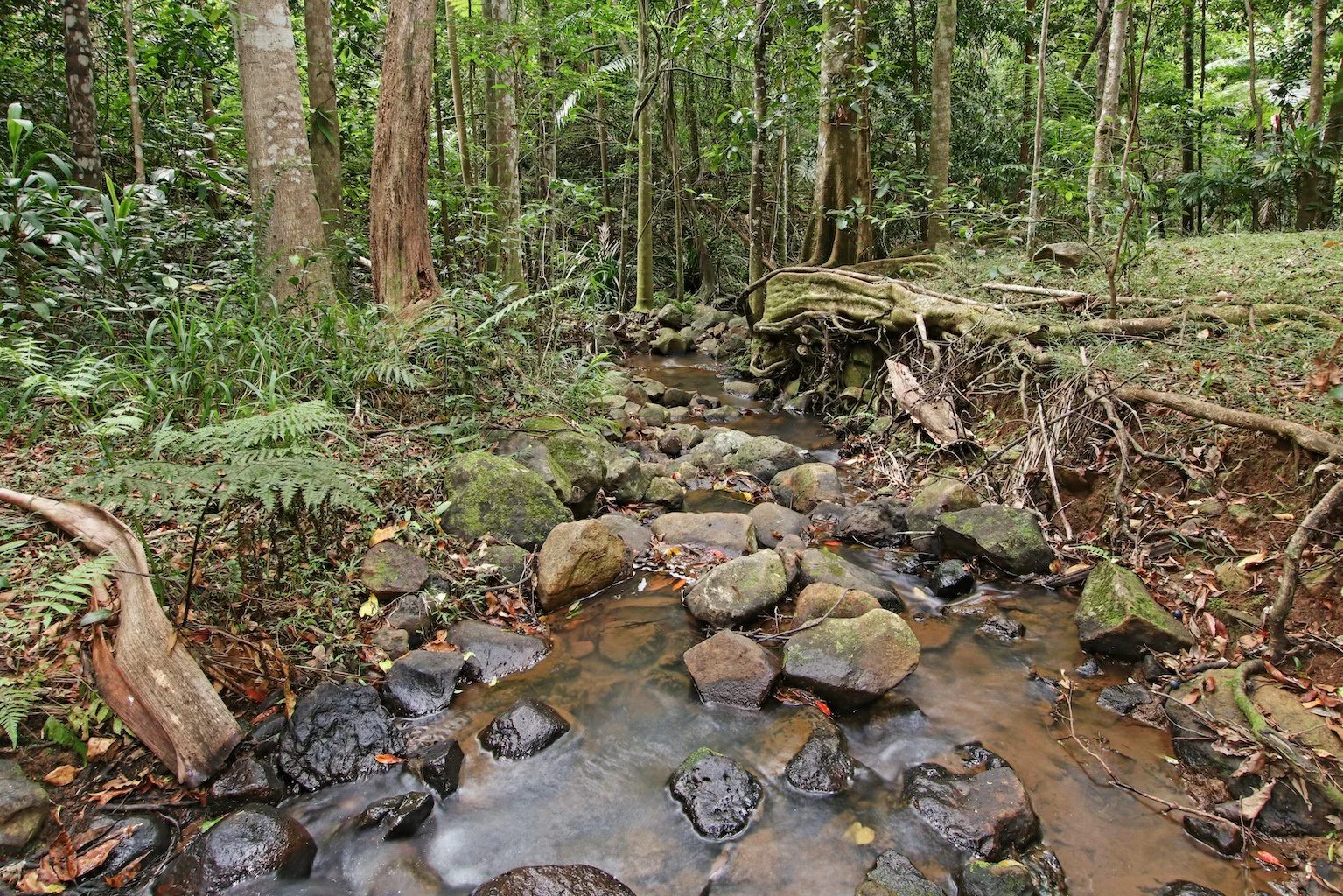 Additional image 17 of 34 Bundara Park Drive, Tuckombil NSW 2477