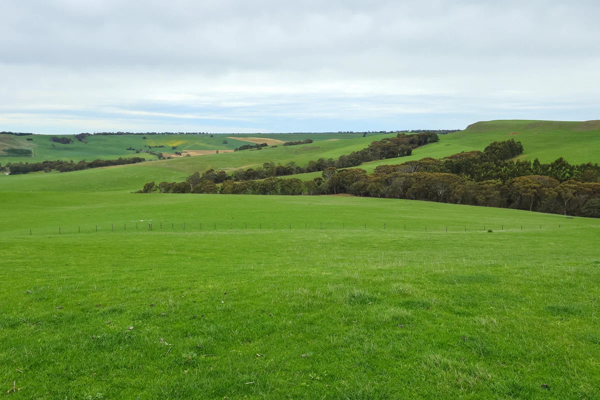 Additional image 23 of 649 Coleraine - Balmoral Road, Wootong Vale VIC 3315