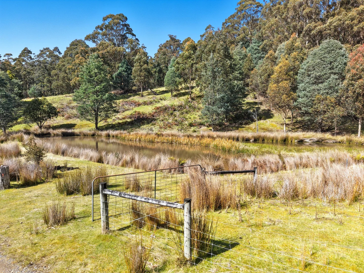 Additional image 8 of Lucaston TAS 7109