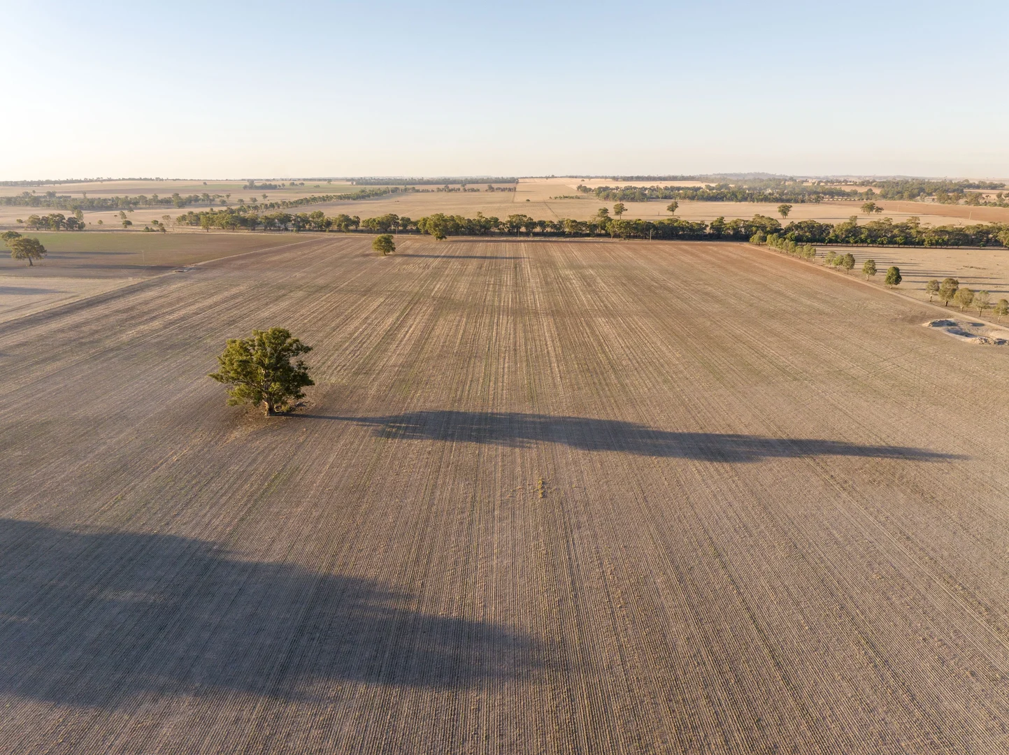 Additional image 17 of 2591 Old Narrandera Road, Currawarna NSW 2650