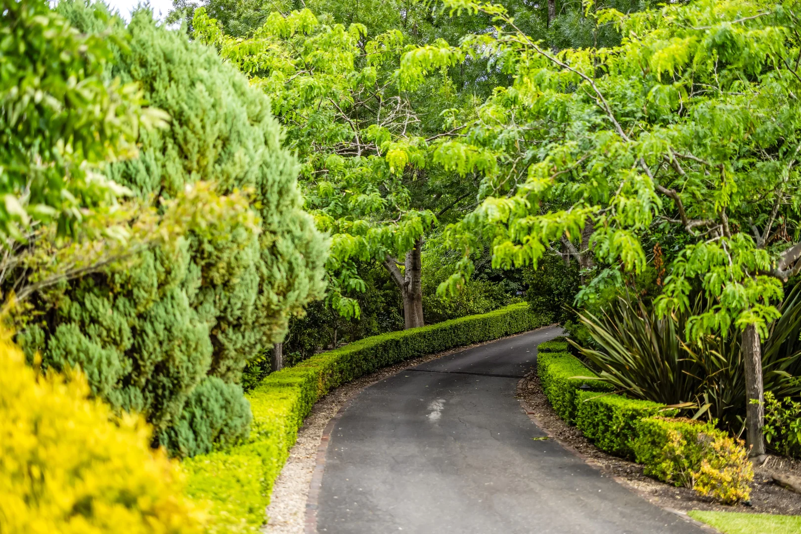 Additional image 41 of 30 Coromandel Road, Aldgate SA 5154