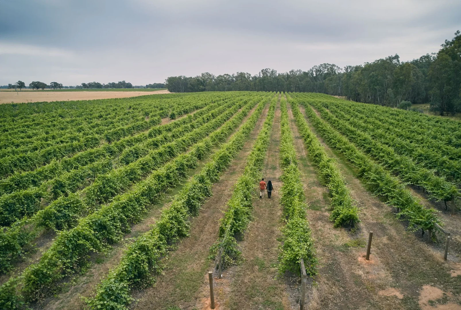 Additional image 41 of 3442 Wangaratta-Yarrawonga Road, Bundalong South VIC 3730