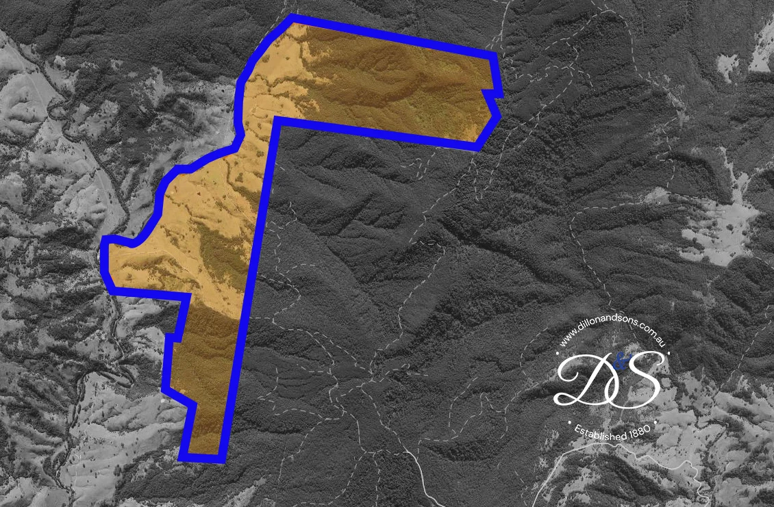 Additional image 25 of 1012 Boonabilla Road, Gresford NSW 2311