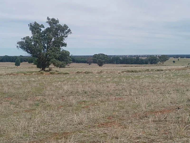 Additional image 25 of Tooraweenah NSW 2817