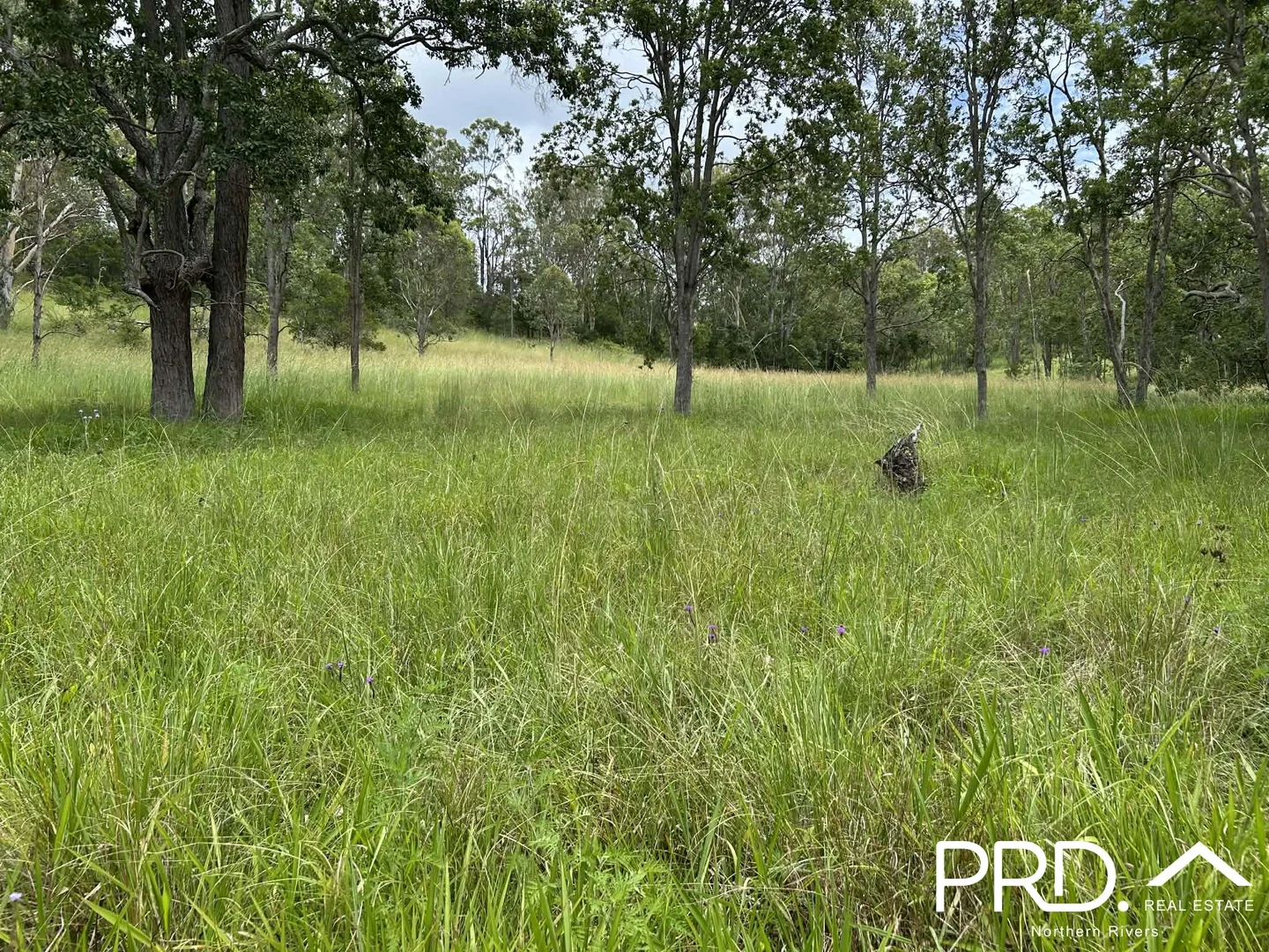 Additional image 11 of 130 Homeleigh Road, Homeleigh NSW 2474