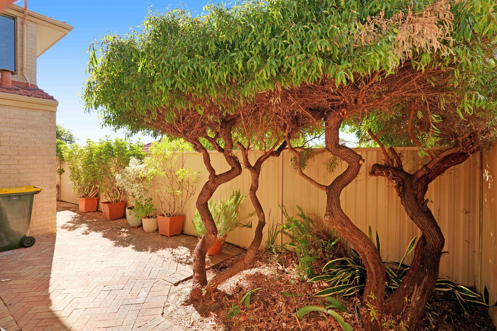 Additional image 23 of 3/38-40 Bower Street, Doubleview WA 6018