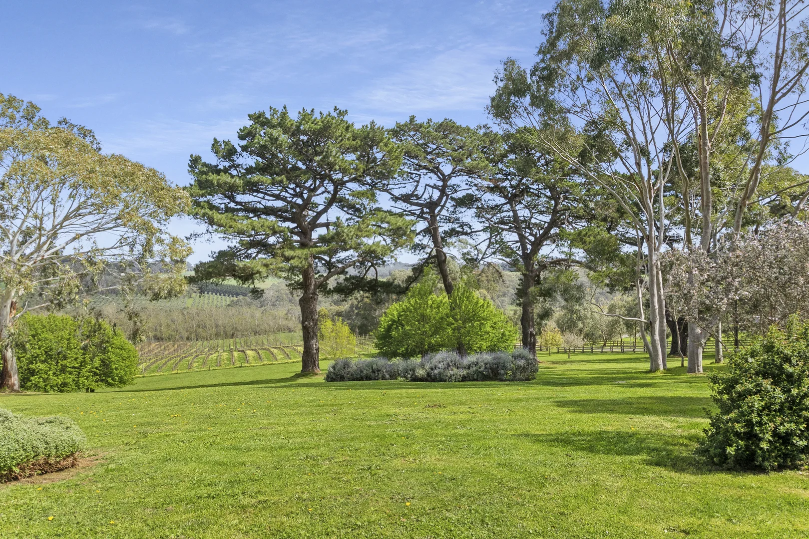 Additional image 9 of 35 Bright Lane, Main Ridge VIC 3928