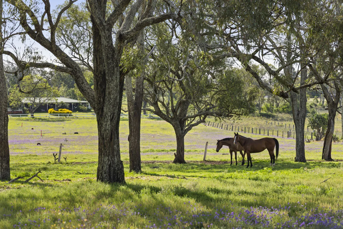 Additional image 20 of 49 Harelmar Road, Southbrook QLD 4363