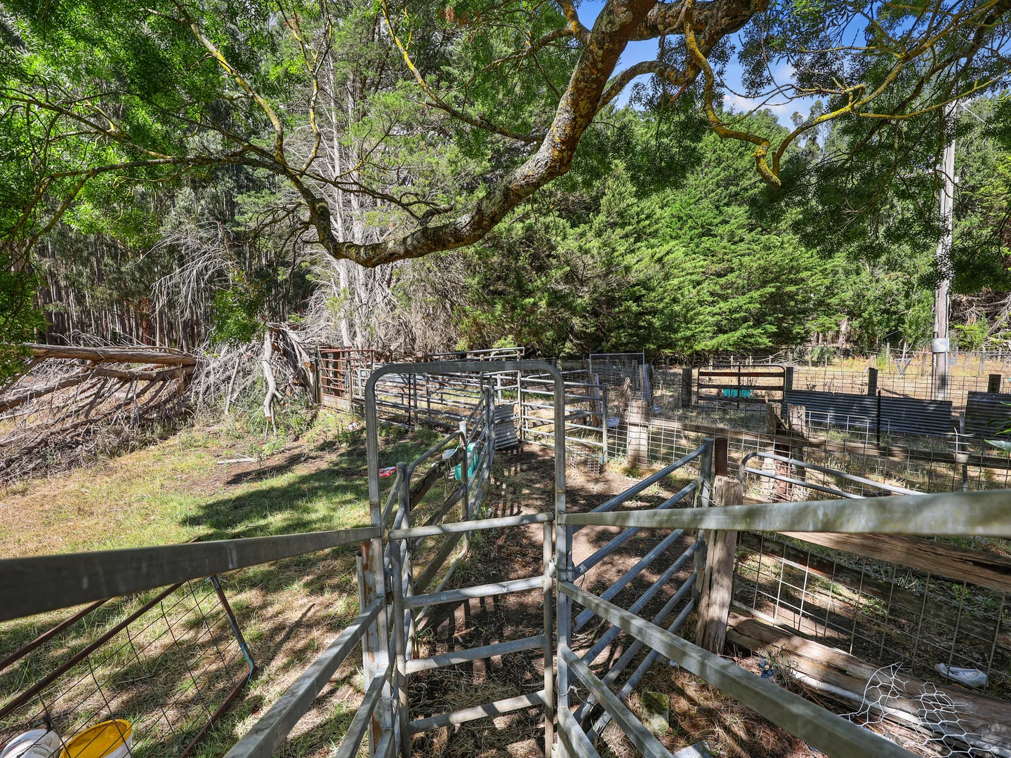 Additional image 14 of 311 Lindons Road, Drumborg VIC 3304