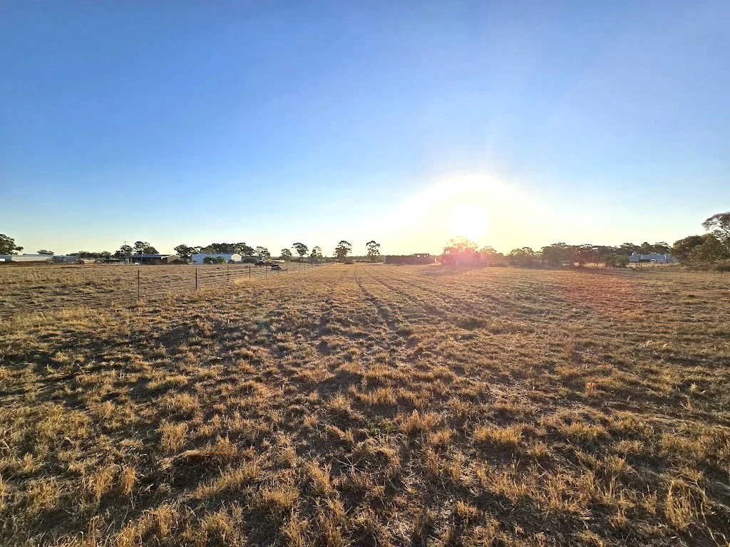 Additional image 7 of 77 Boltes Lane, West Wyalong NSW 2671