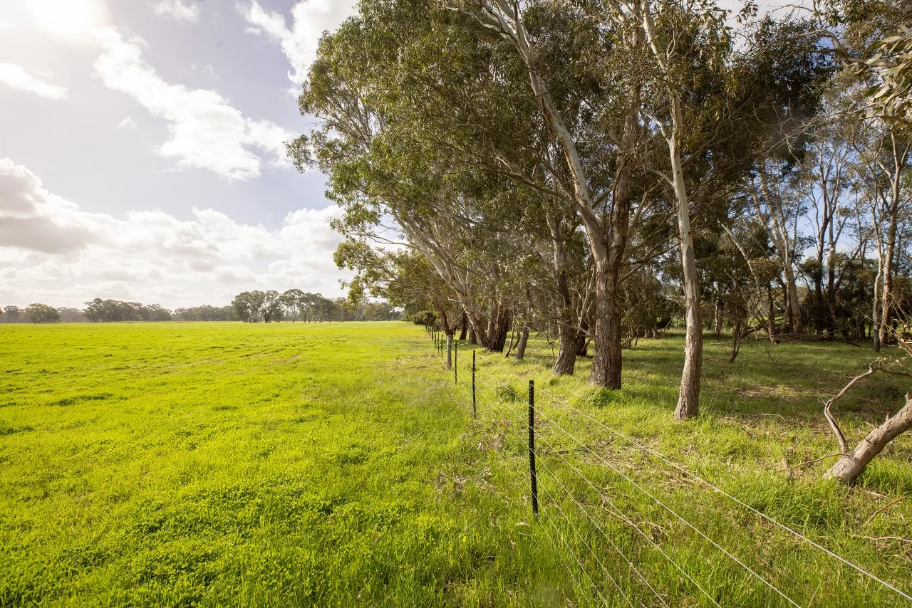 Additional image 35 of 546 Bool Lagoon West Road, Penola SA 5277
