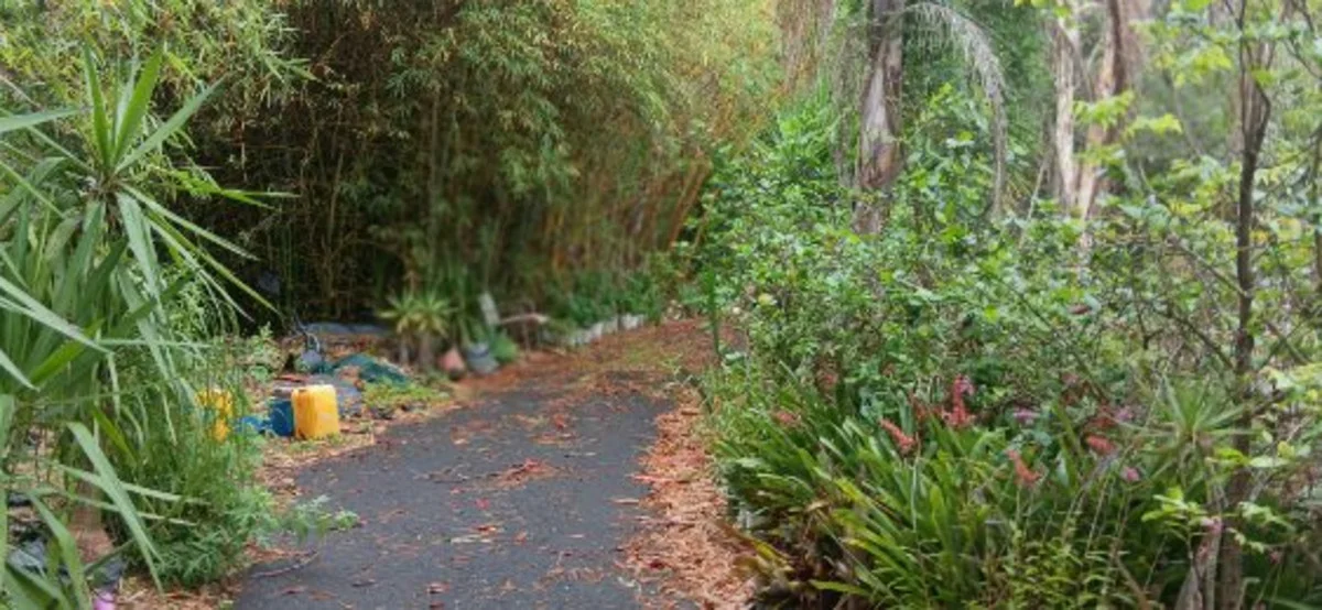 Additional image 10 of 1 Top End Mines Road, Torbanlea QLD 4662