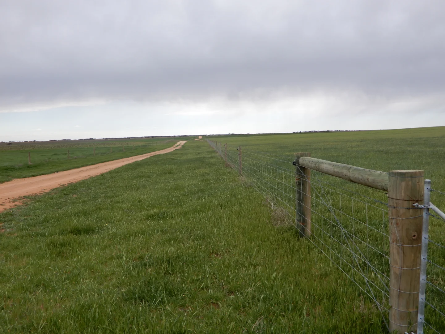 Additional image 2 of 1481 Parrakie North Road, Lameroo SA 5302