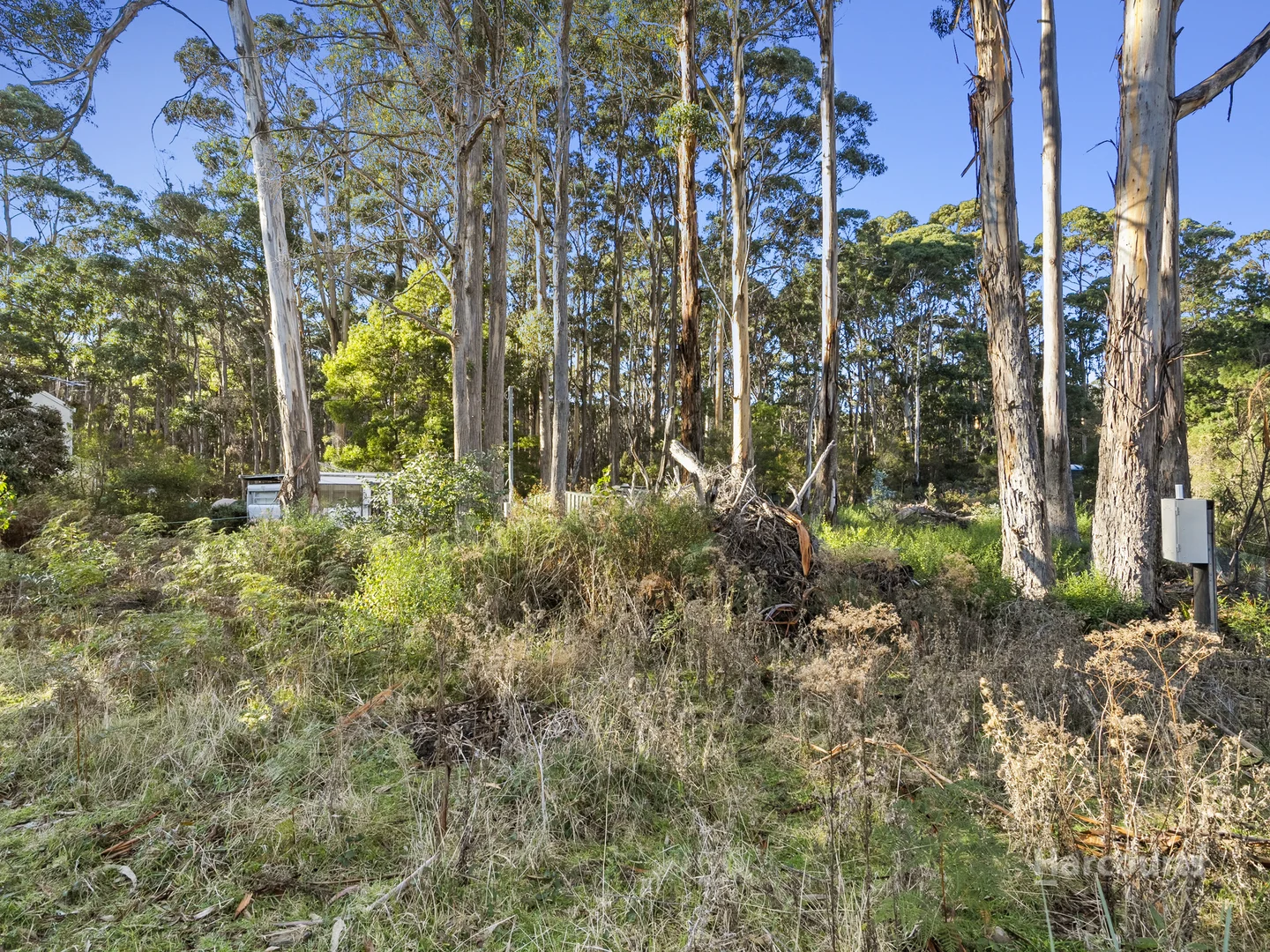 Additional image 8 of 334 Blowhole Road, Eaglehawk Neck TAS 7179