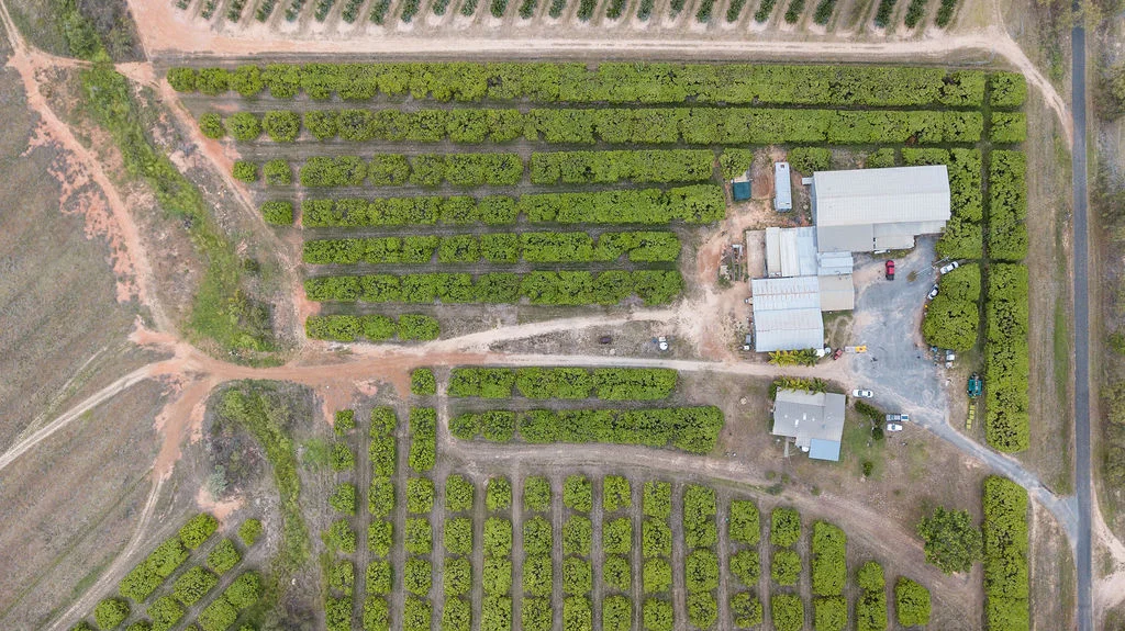 Additional image 3 of 1151 Leafgold Weir Road, Dimbulah QLD 4872