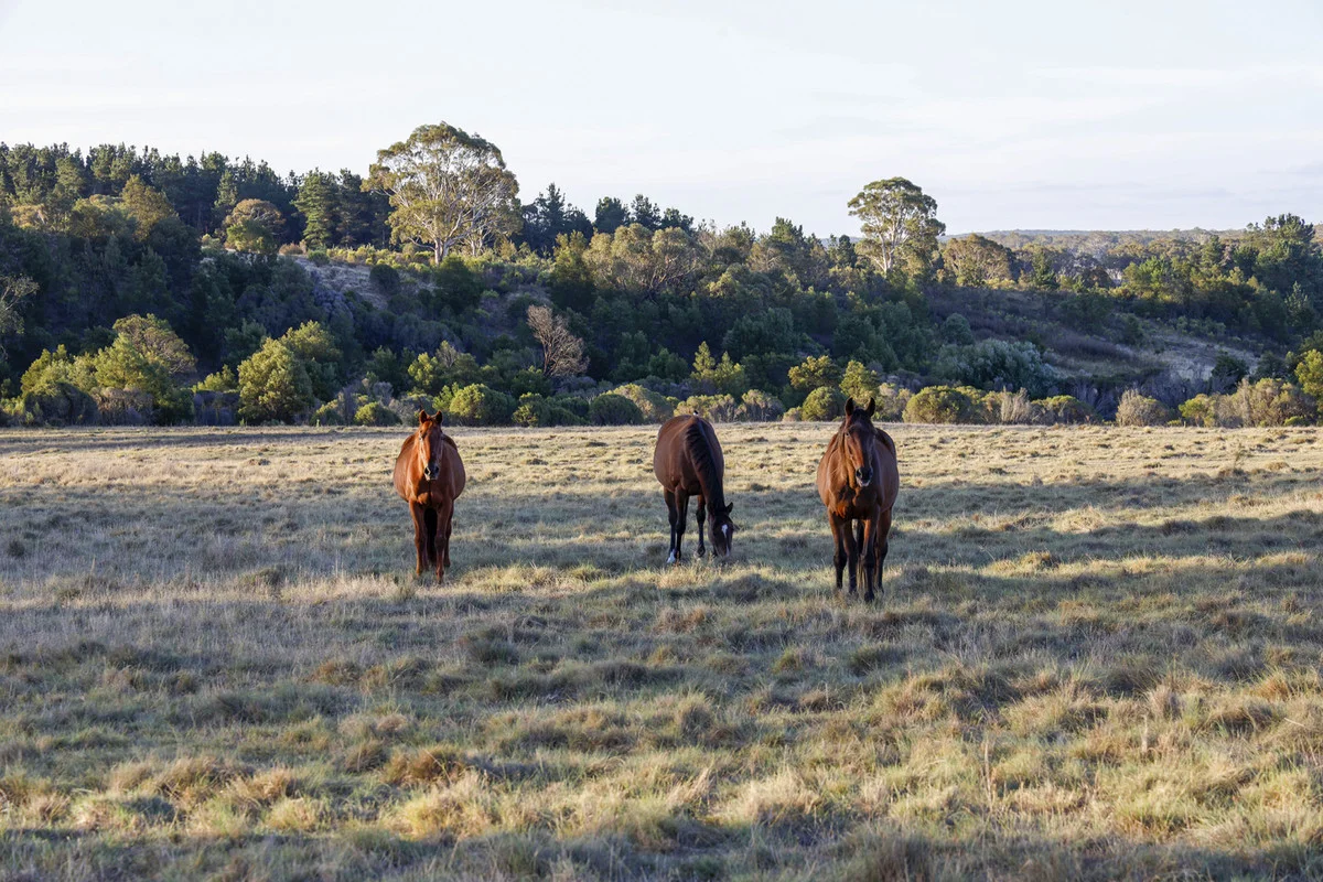 Additional image 20 of 32 Hush Road, Windellama NSW 2580
