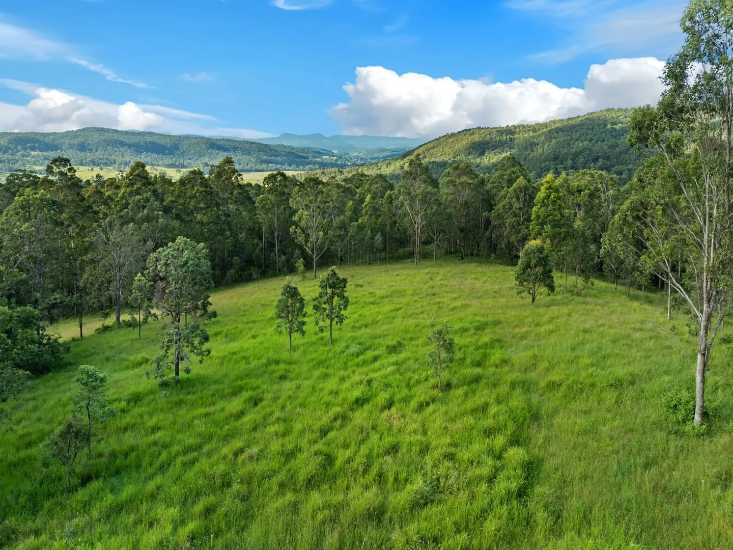 Additional image 13 of Duck Creek NSW 2469
