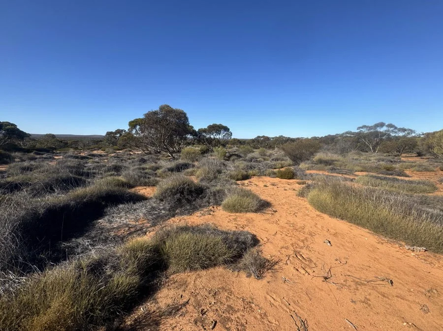 Additional image 4 of Section 24 Woolford Road, Minbrie SA 5602