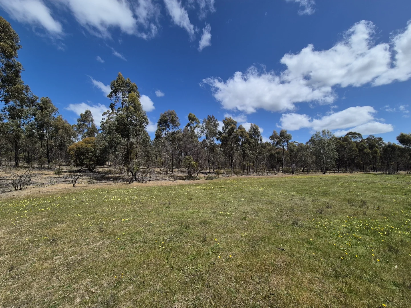 Additional image 3 of Lot 3 Gellibrand Tonks Road, Earlston VIC 3669
