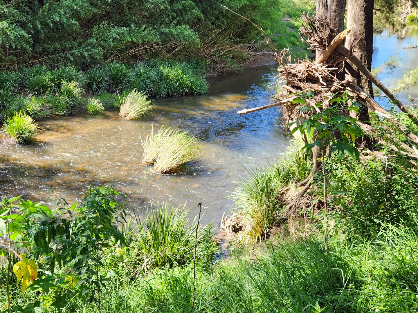 Additional image 11 of Vacy NSW 2421