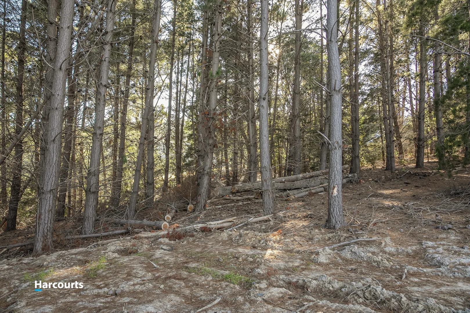 Additional image 14 of 38 Autumn Road, Cradoc TAS 7109