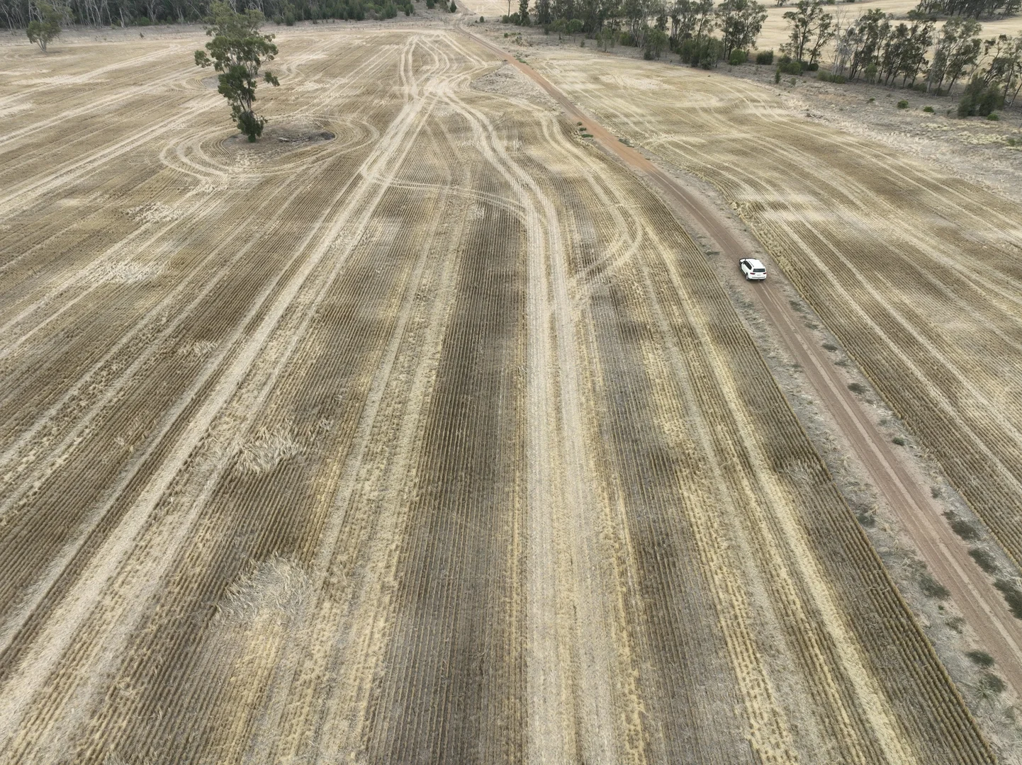 Additional image 24 of 'The Pines' 211 Dicks Camp Road, Collie NSW 2827