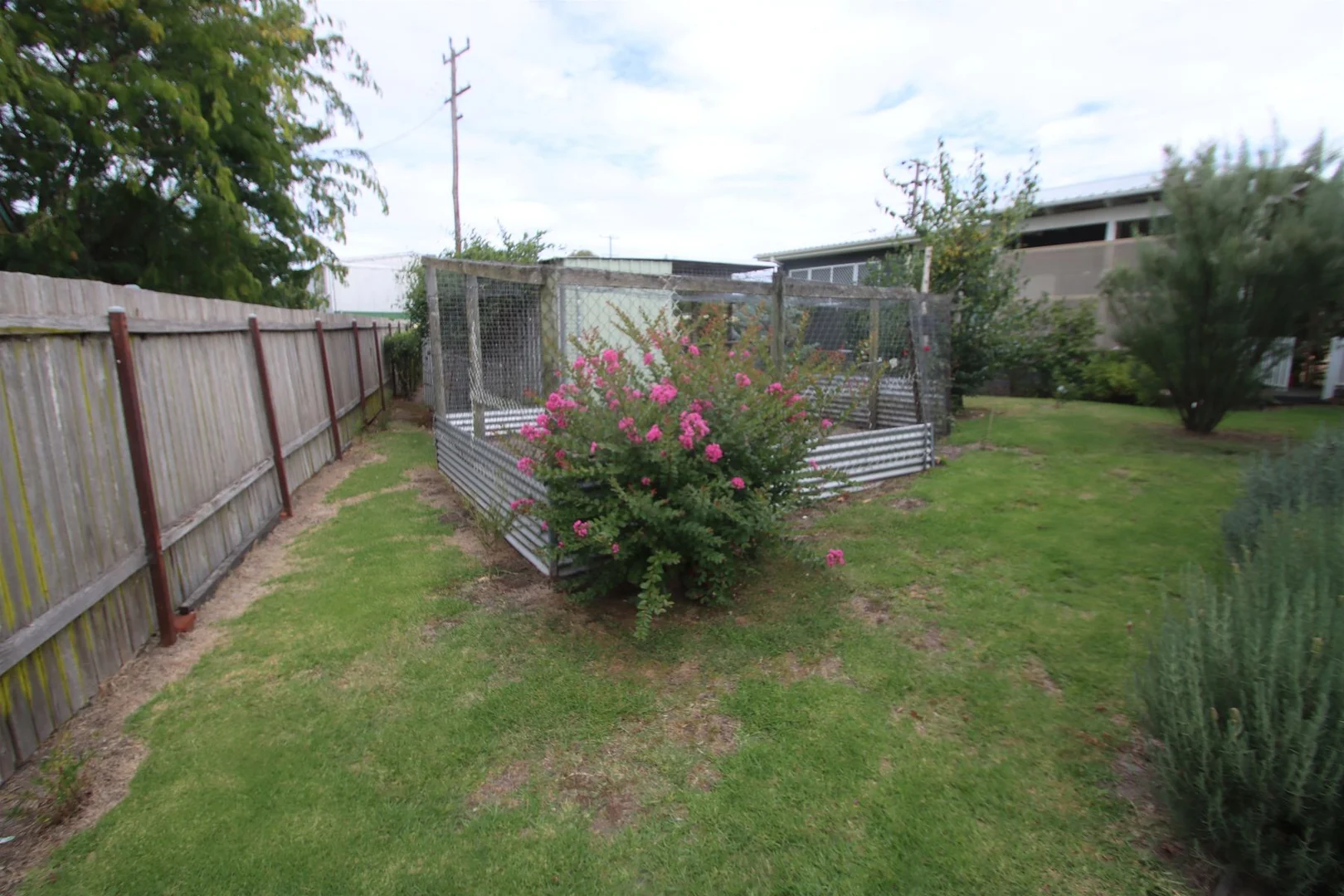 Additional image 20 of 59 Manners Street, Tenterfield NSW 2372