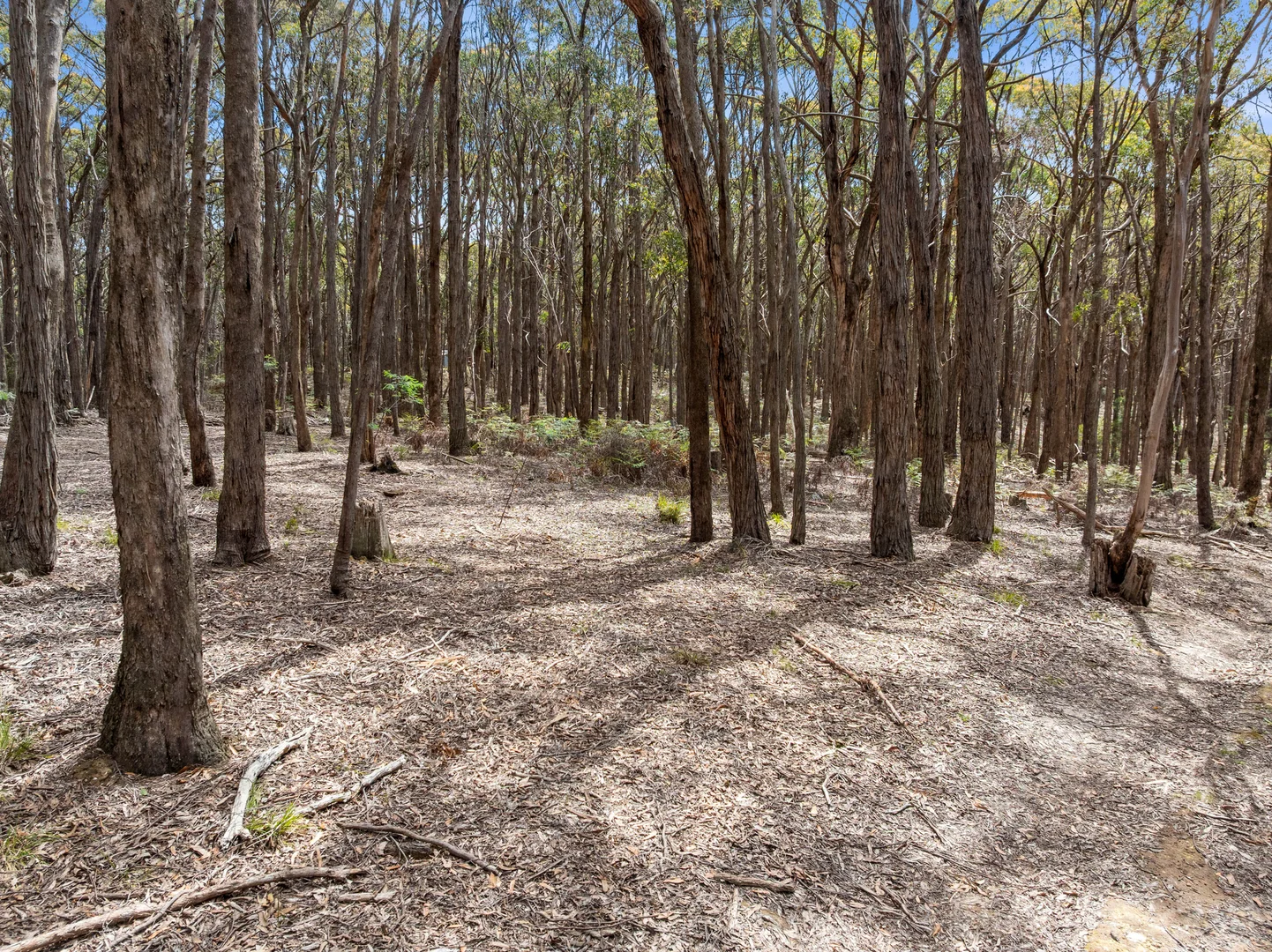 Additional image 10 of 184 Tori's Road, Glenlyon VIC 3461