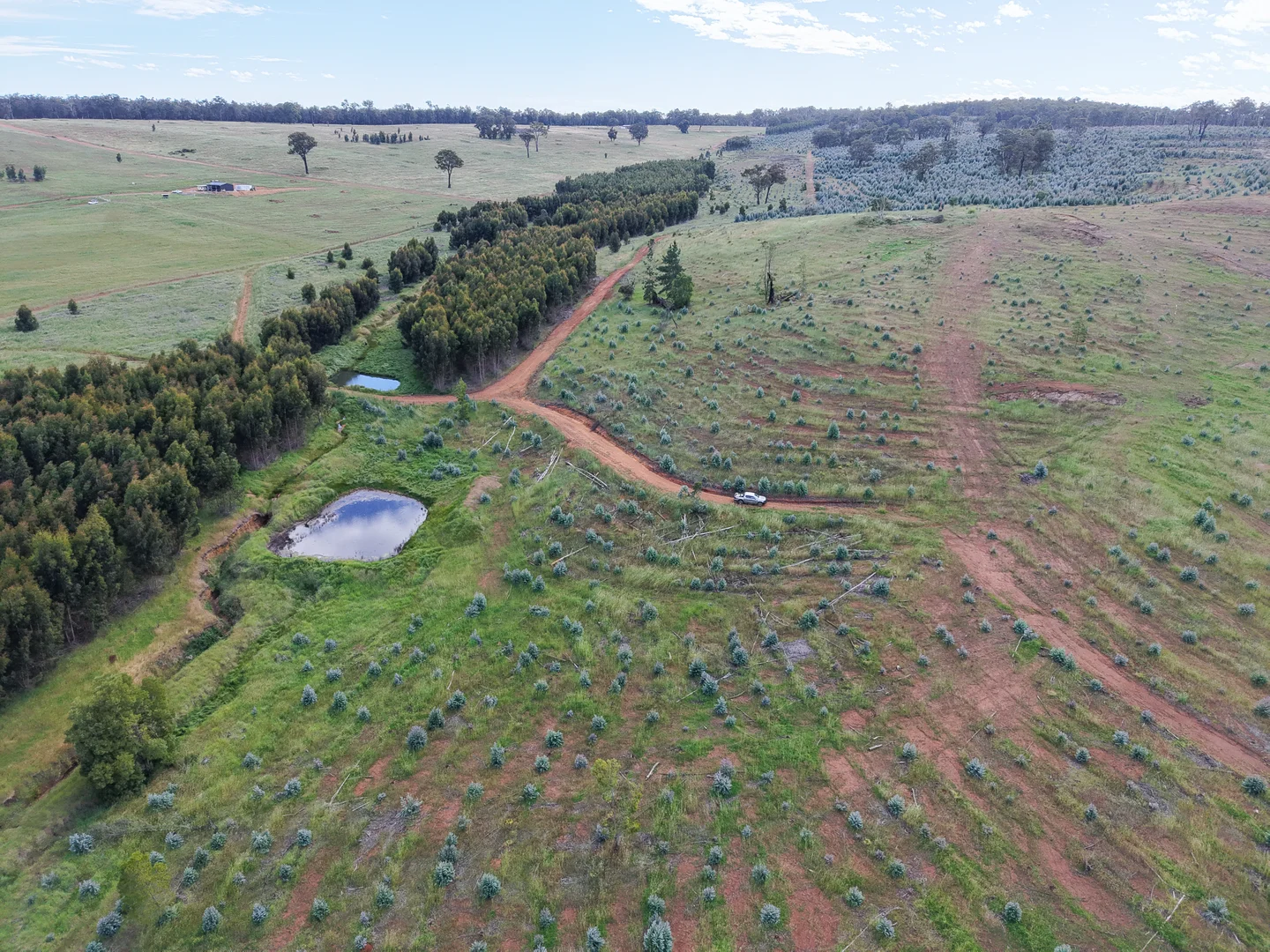 Additional image 3 of Lot 1251 Peninsula Road, Bridgetown WA 6255