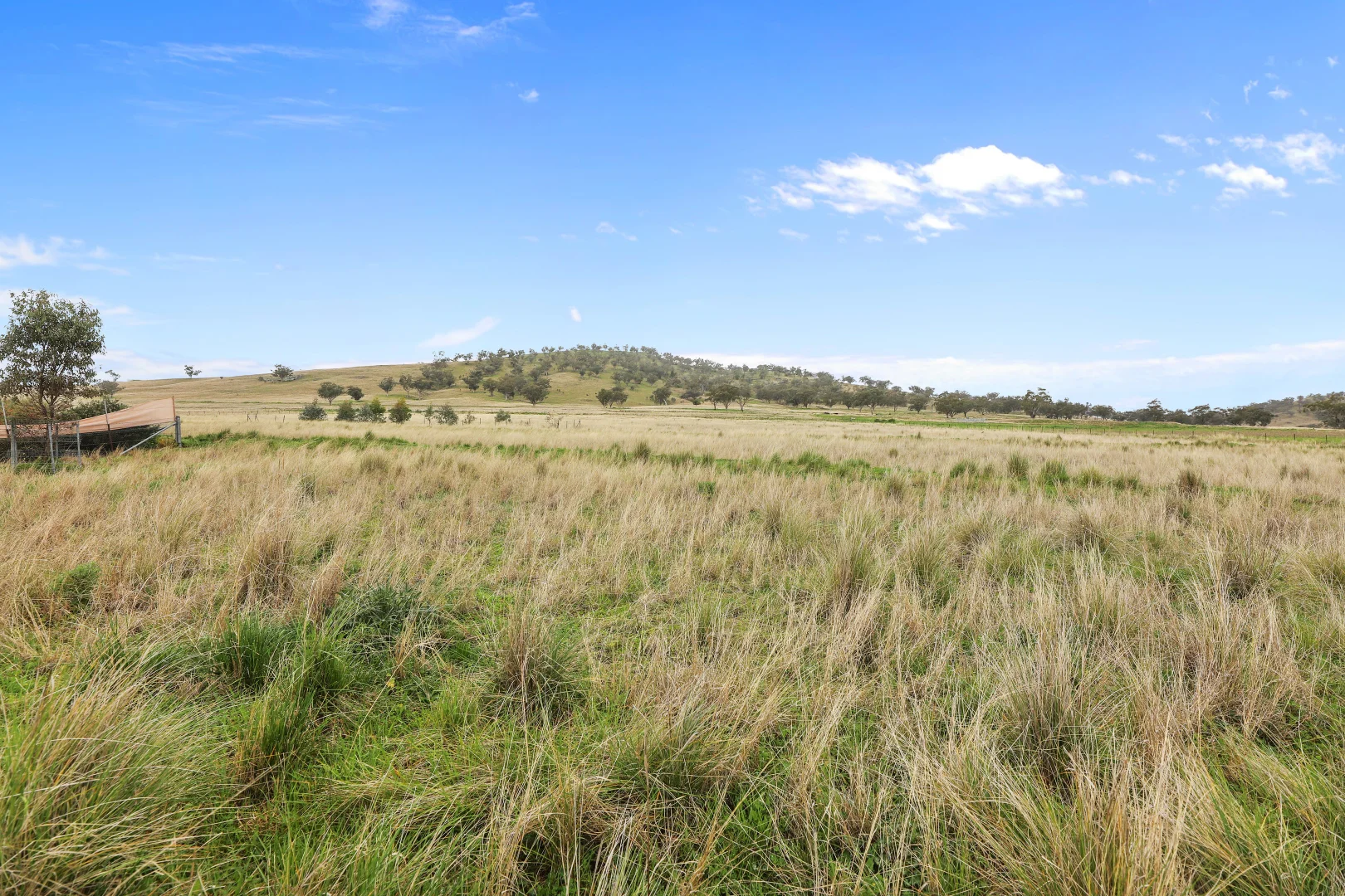 Additional image 4 of "Prairie" 1758 Werris Creek Road, Werris Creek NSW 2341