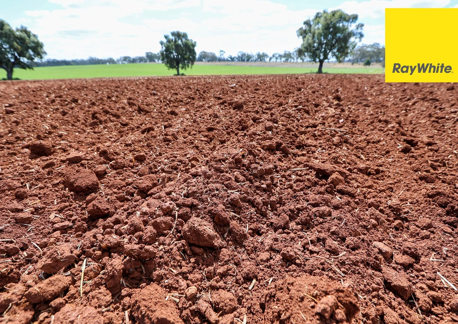 Additional image 5 of 11 Delungra Bypass Road, Inverell NSW 2360