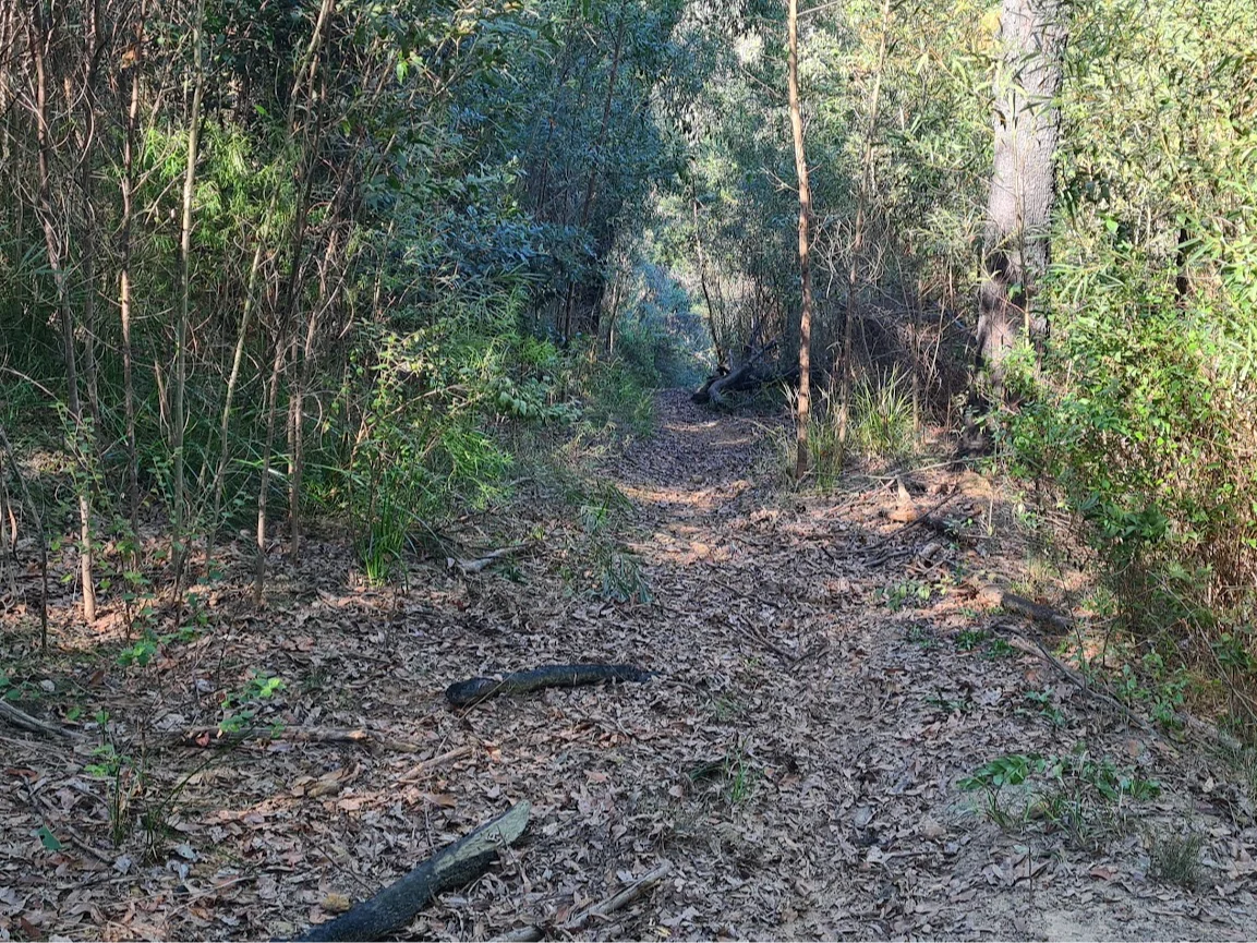 Additional image 18 of Illaroo NSW 2540