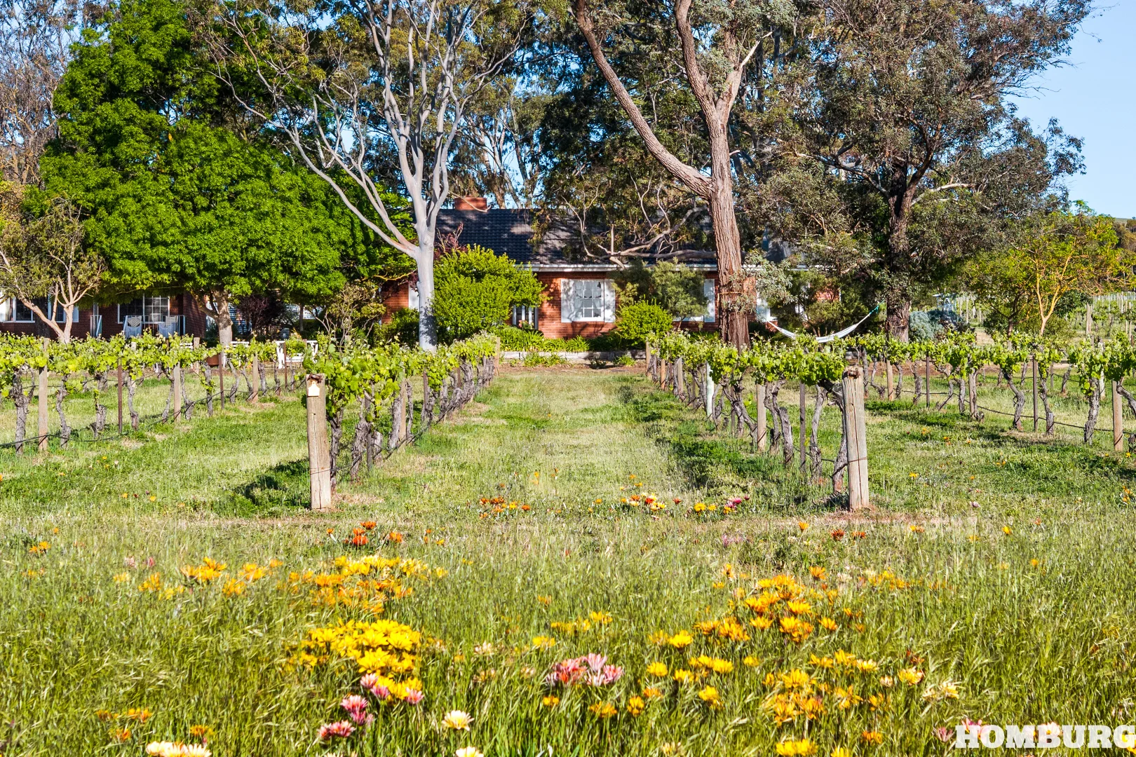 Additional image 4 of 527 Stockwell Road, Light Pass SA 5355