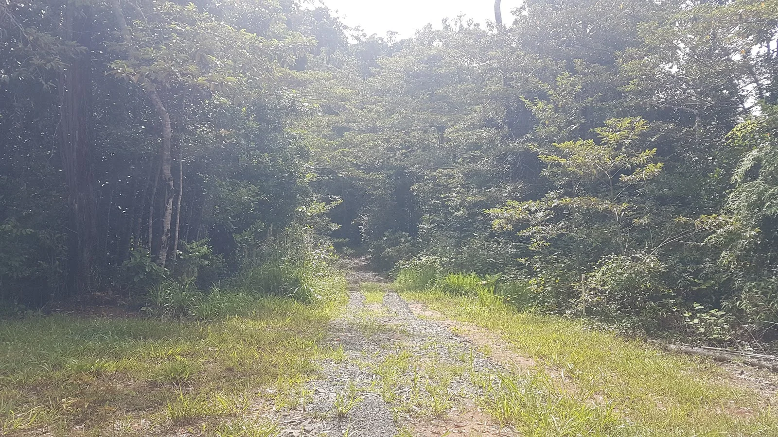 Additional image 13 of Lot 213 Kelly Road, Ellinjaa QLD 4886