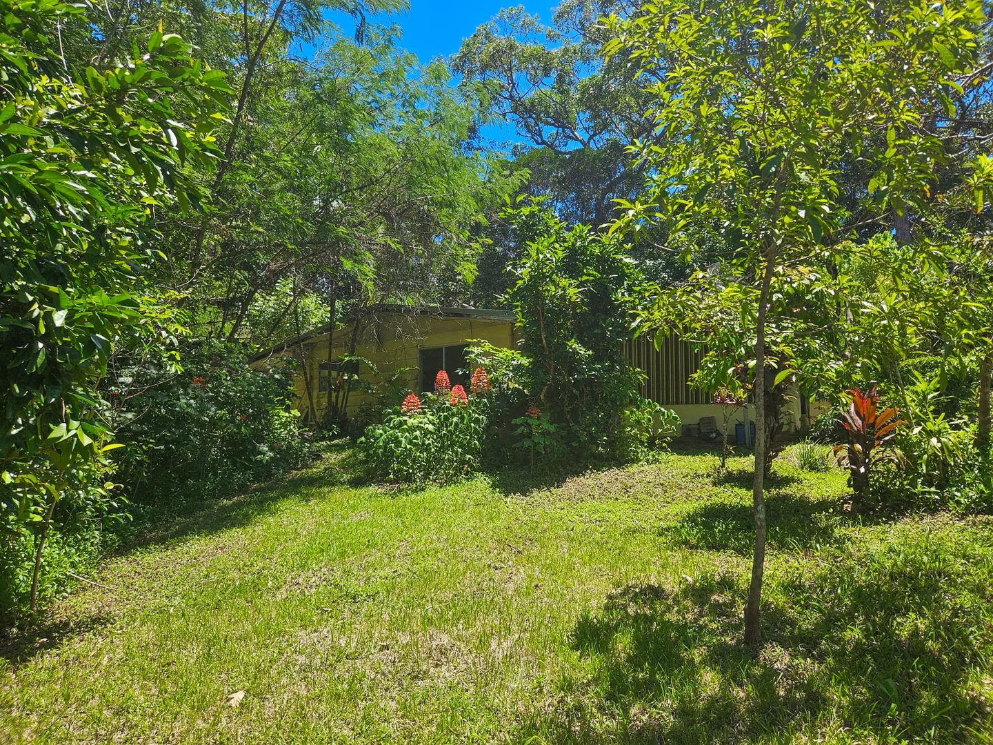 Additional image 5 of 6 Byers Creek Road, Rossville QLD 4895