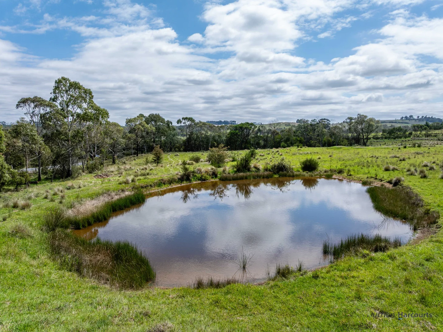 Additional image 11 of 1130 Majors Creek Road, Braidwood NSW 2622