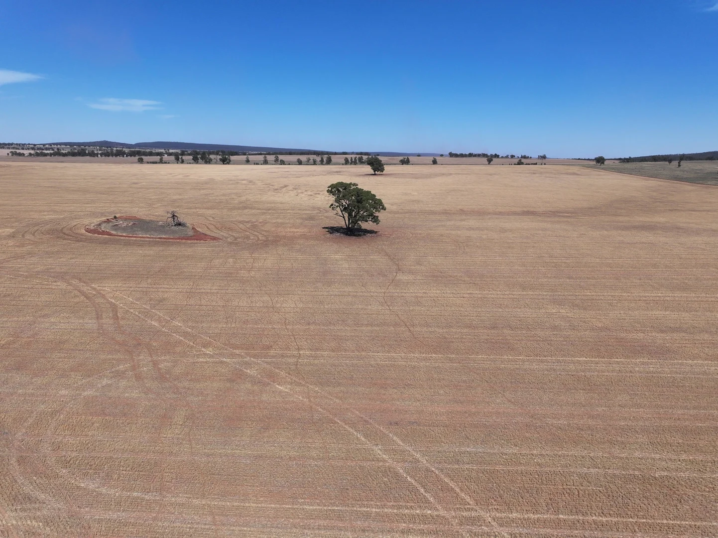 Additional image 12 of 'Nolens'  5000 Barellan Road, Colinroobie NSW 2700