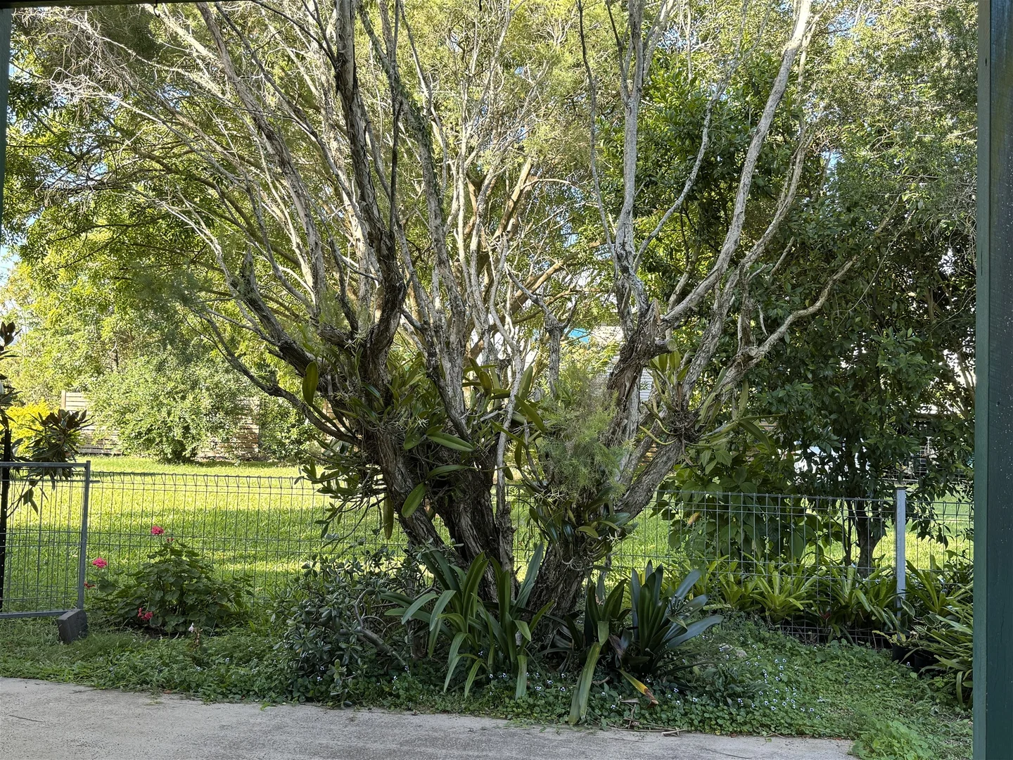 Additional image 19 of 42 Worendo St, Wiangaree NSW 2474