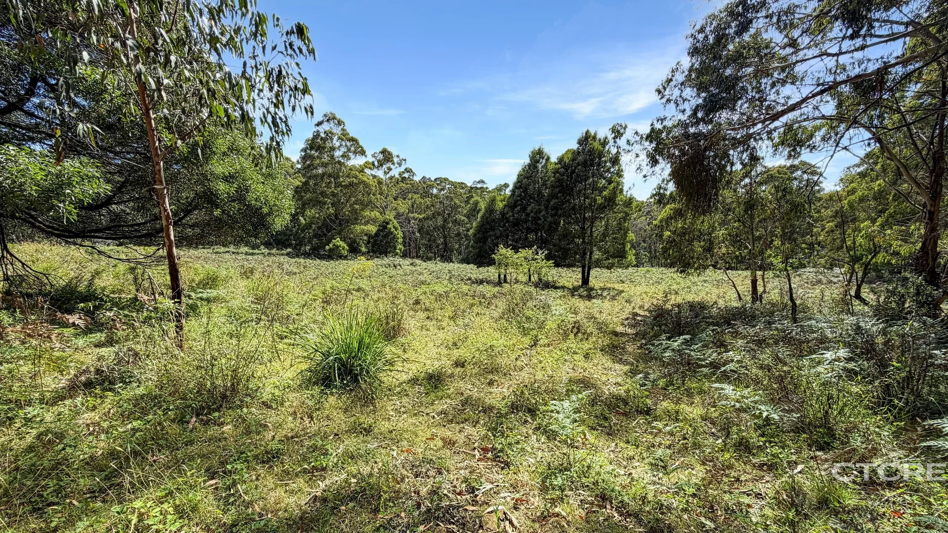 Additional image 14 of 12F & 12G Minchins Track, Bonang VIC 3888