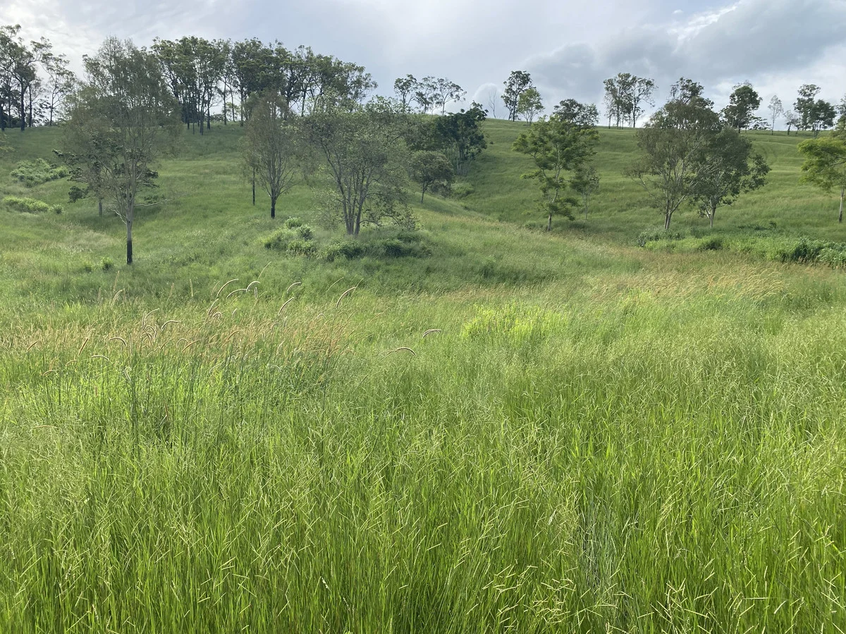 Additional image 18 of 558 Marlborough-Sarina Road, Sarina QLD 4737