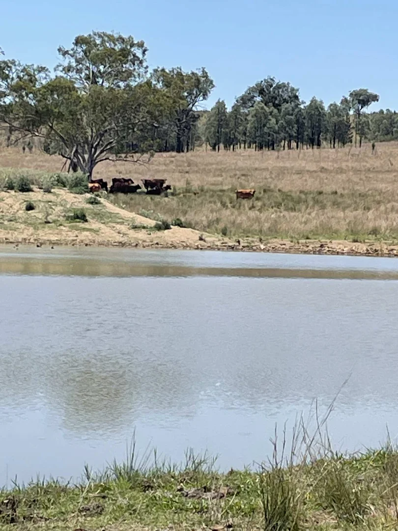 Additional image 7 of Lot 9 Silver Spur Redgate Road, Silver Spur QLD 4385