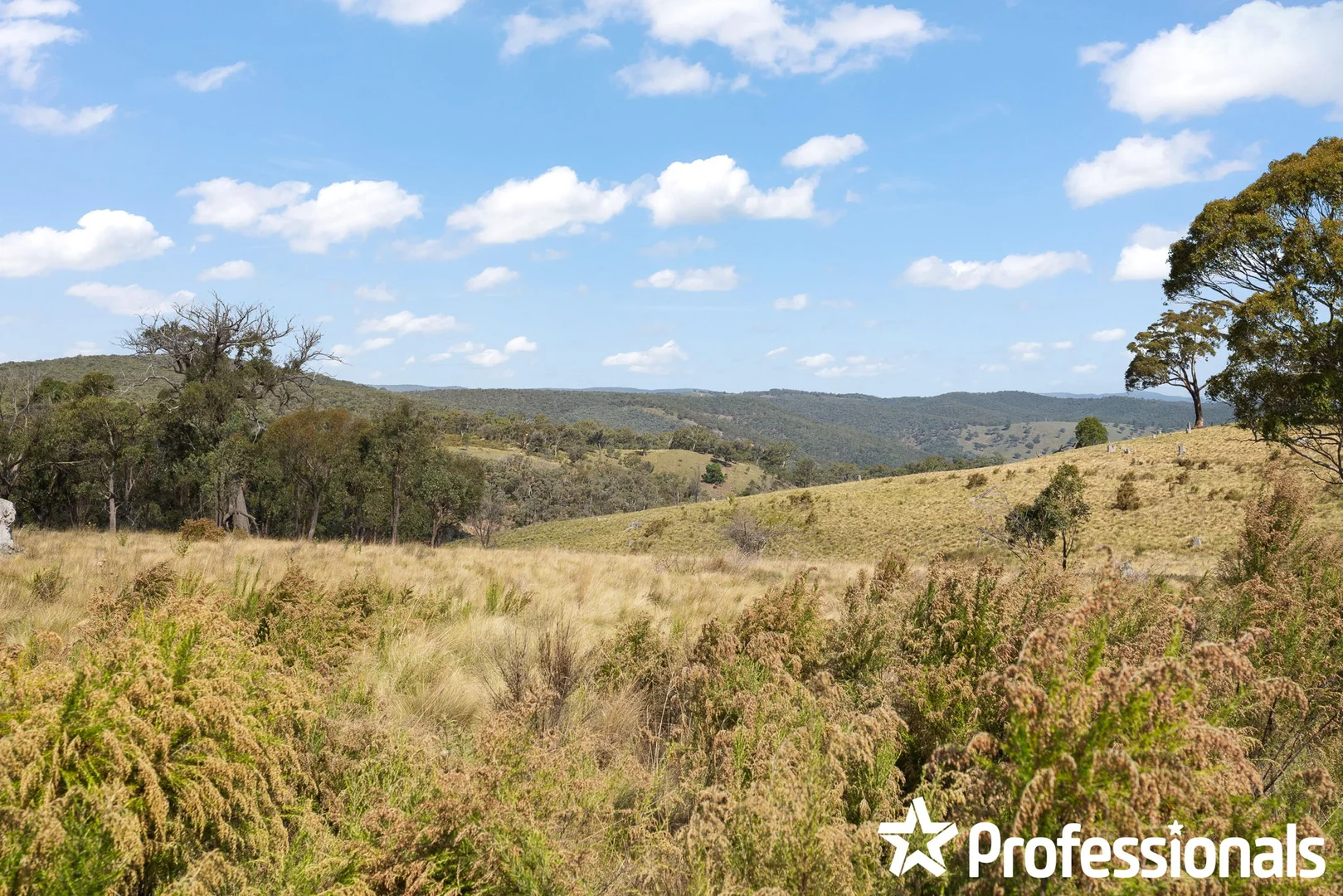 Additional image 4 of 3469 Sofala Road, Wattle Flat NSW 2795