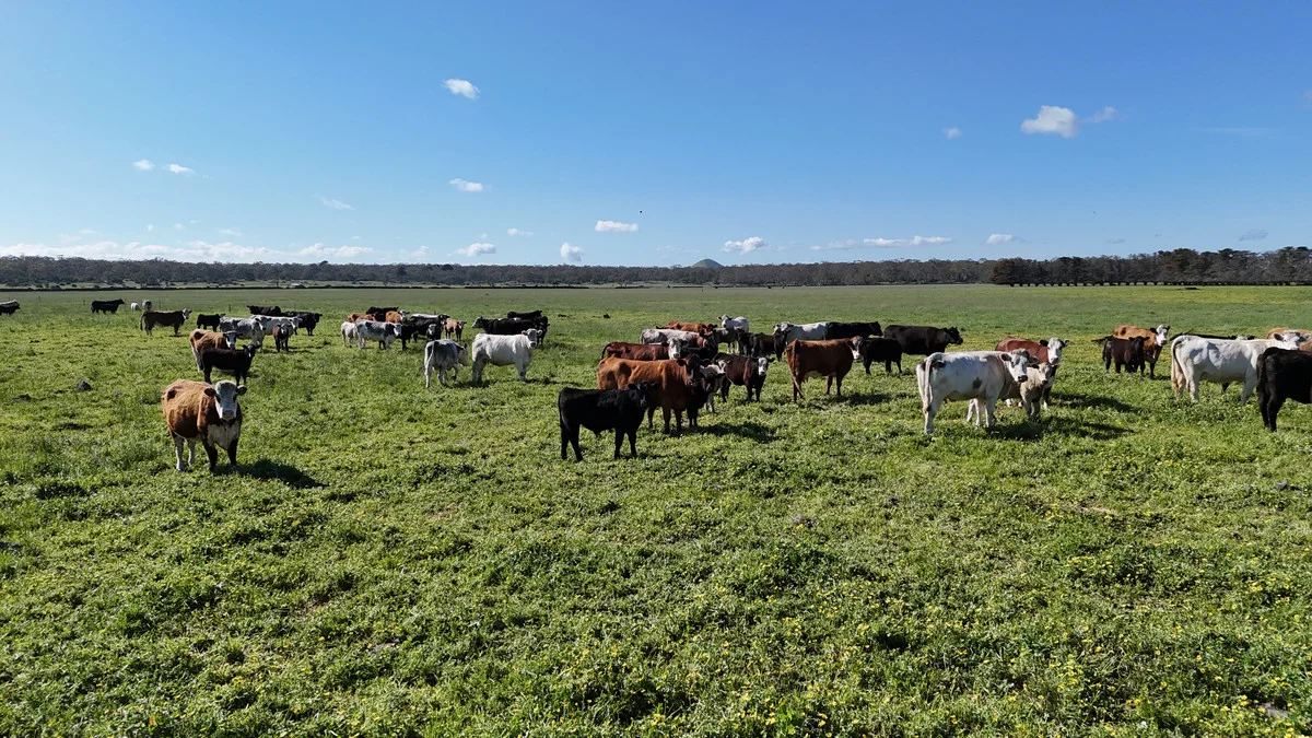 Additional image 2 of 61 Purrumbete Estate Road, Koallah VIC 3260