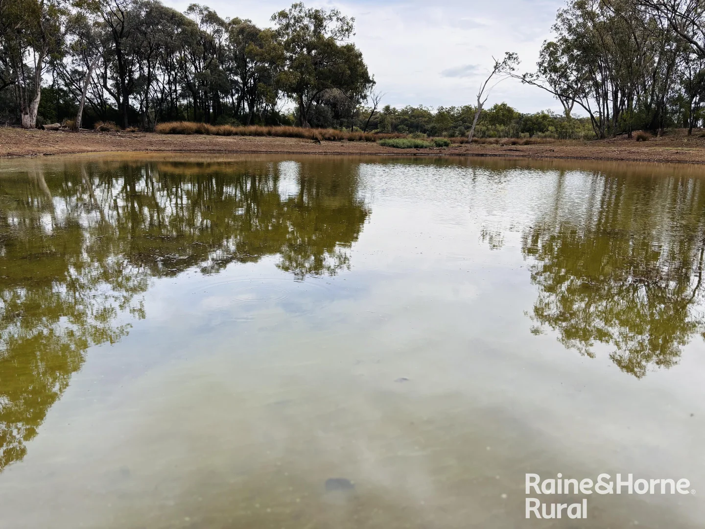 Additional image 3 of 1148 Nalpa Downs Road, Mitchell QLD 4465