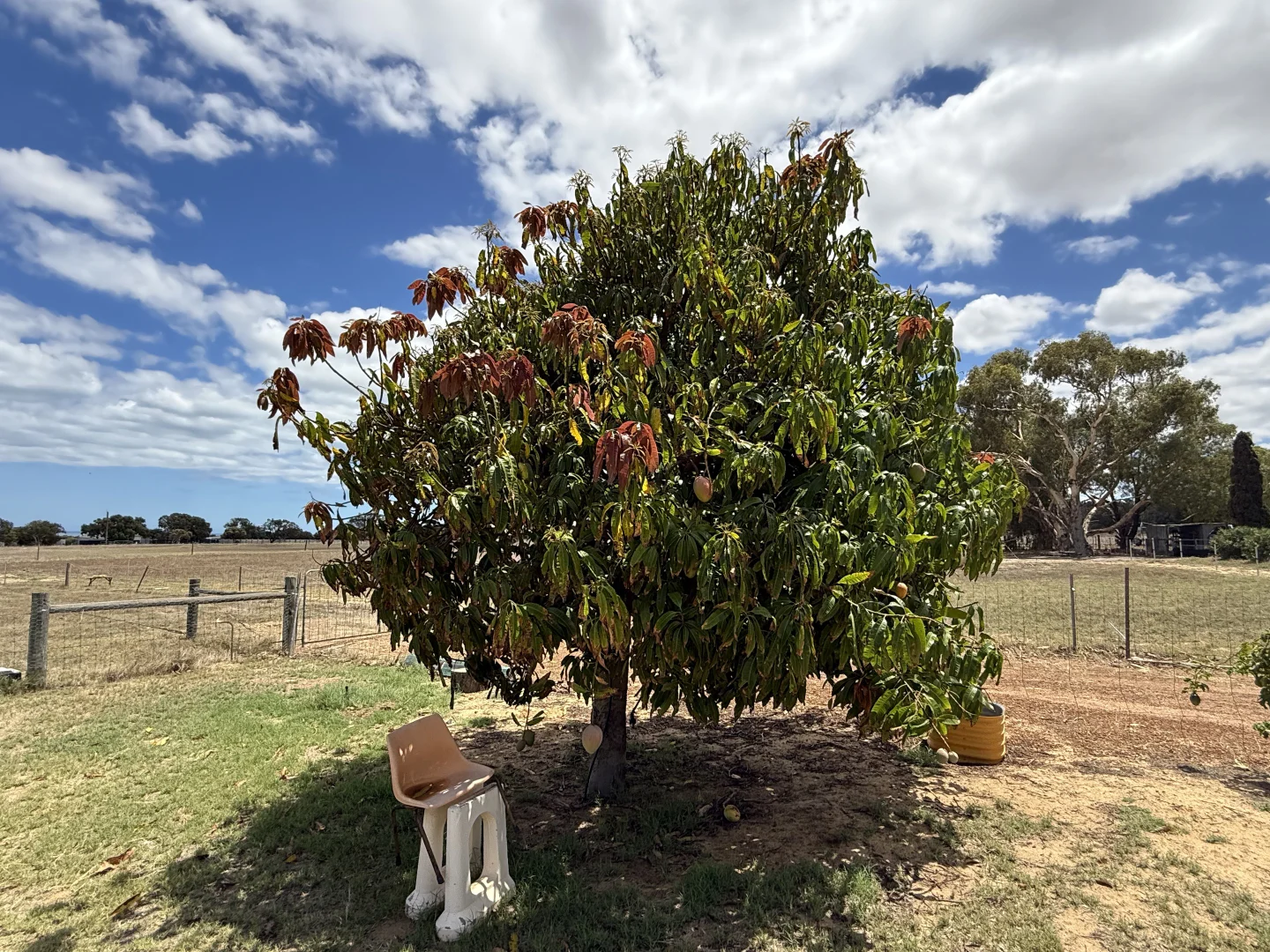 Additional image 21 of 8 Trant Road, Moresby WA 6530