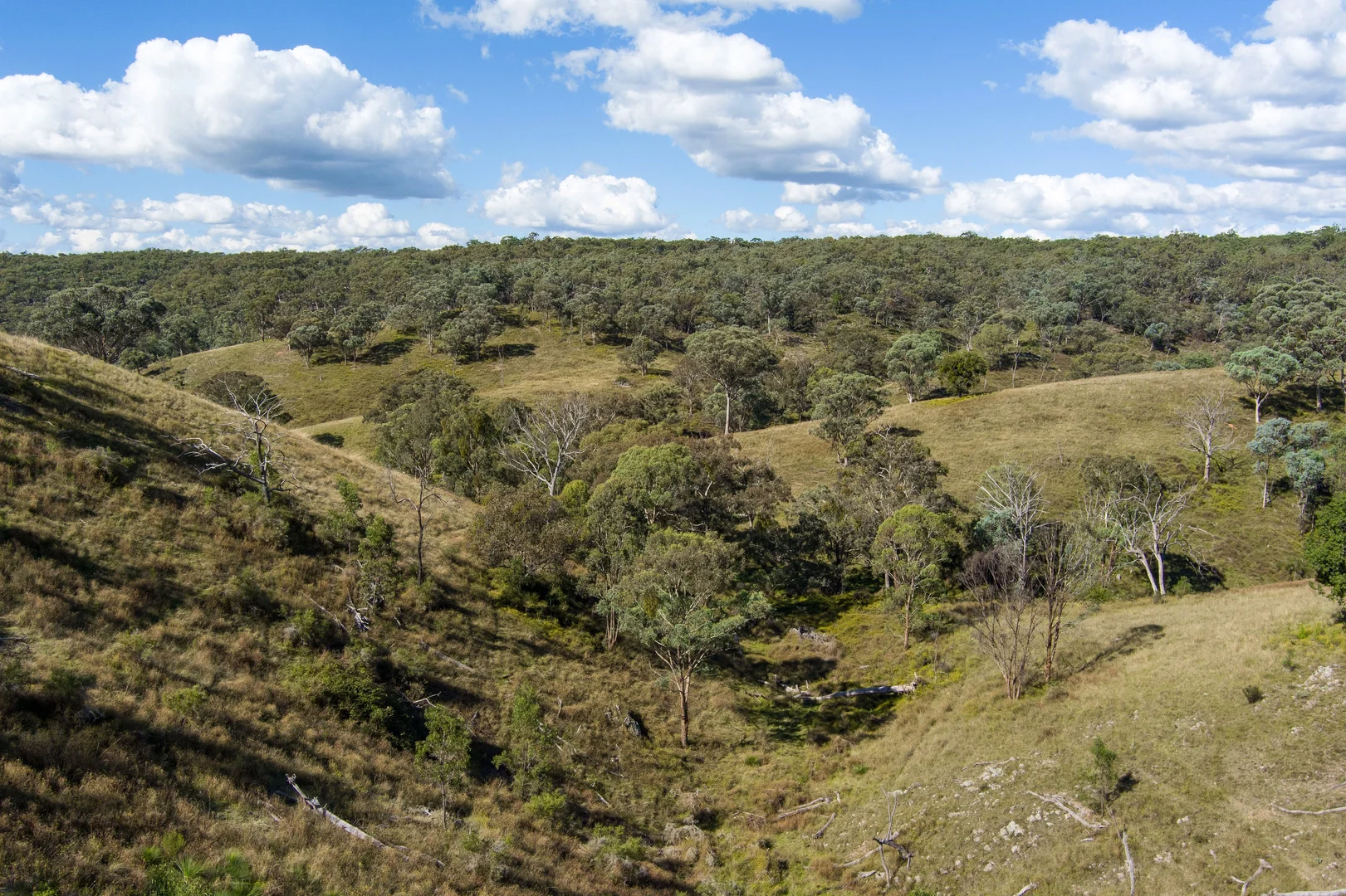 Additional image 14 of 162 Sutters Lane, Ilford NSW 2850